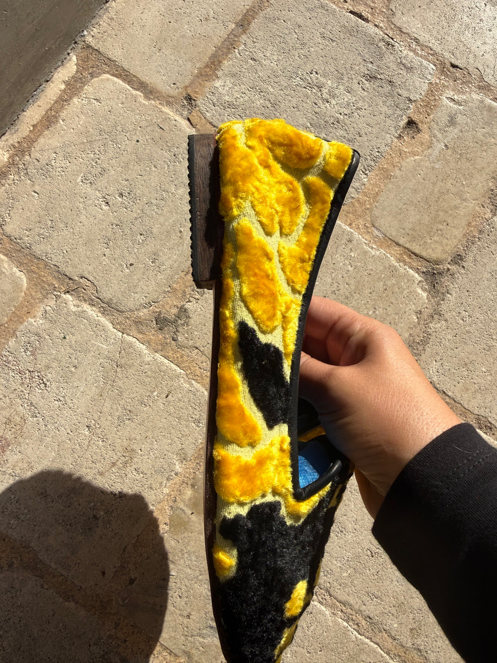 Bailarina de terciopelo